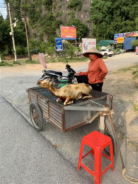 Tam Cốc – Bích Động - Ninh Bình, Việt Nam