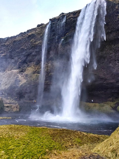 Inland Icelanders Burned Whale Bones for Warmth